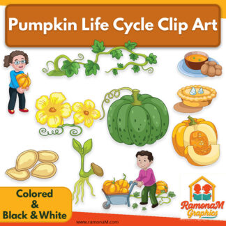 Pumpkin Life Cycle Clip Art PNG with pumpkin growth stages, harvest children and fall science illustrations